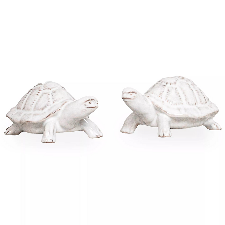 Clever Creatures Turtle Salt and Pepper Set/2pc - Leonardo & Donatello