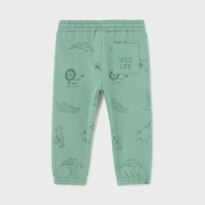 Eucalyptus Printed Knit Pants