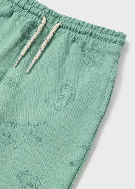 Eucalyptus Printed Knit Pants