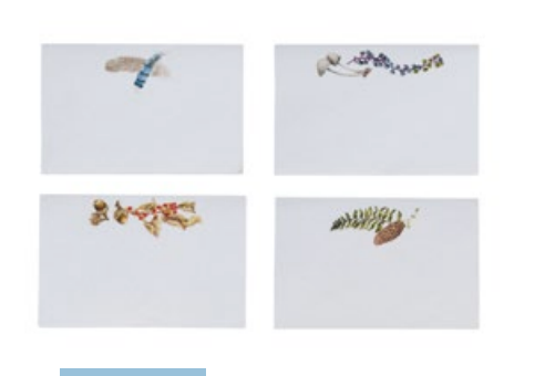 Forest Walk Place Card Assorted Set/12 - Multi