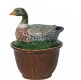 Forest Walk Duck Bowl with Lid - Multi