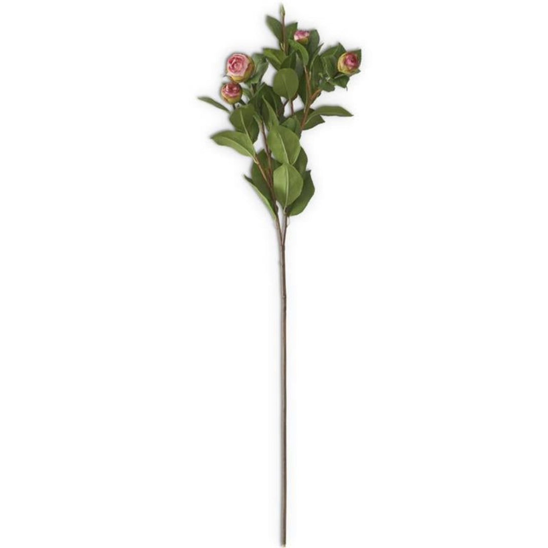 Pink Peony Stem