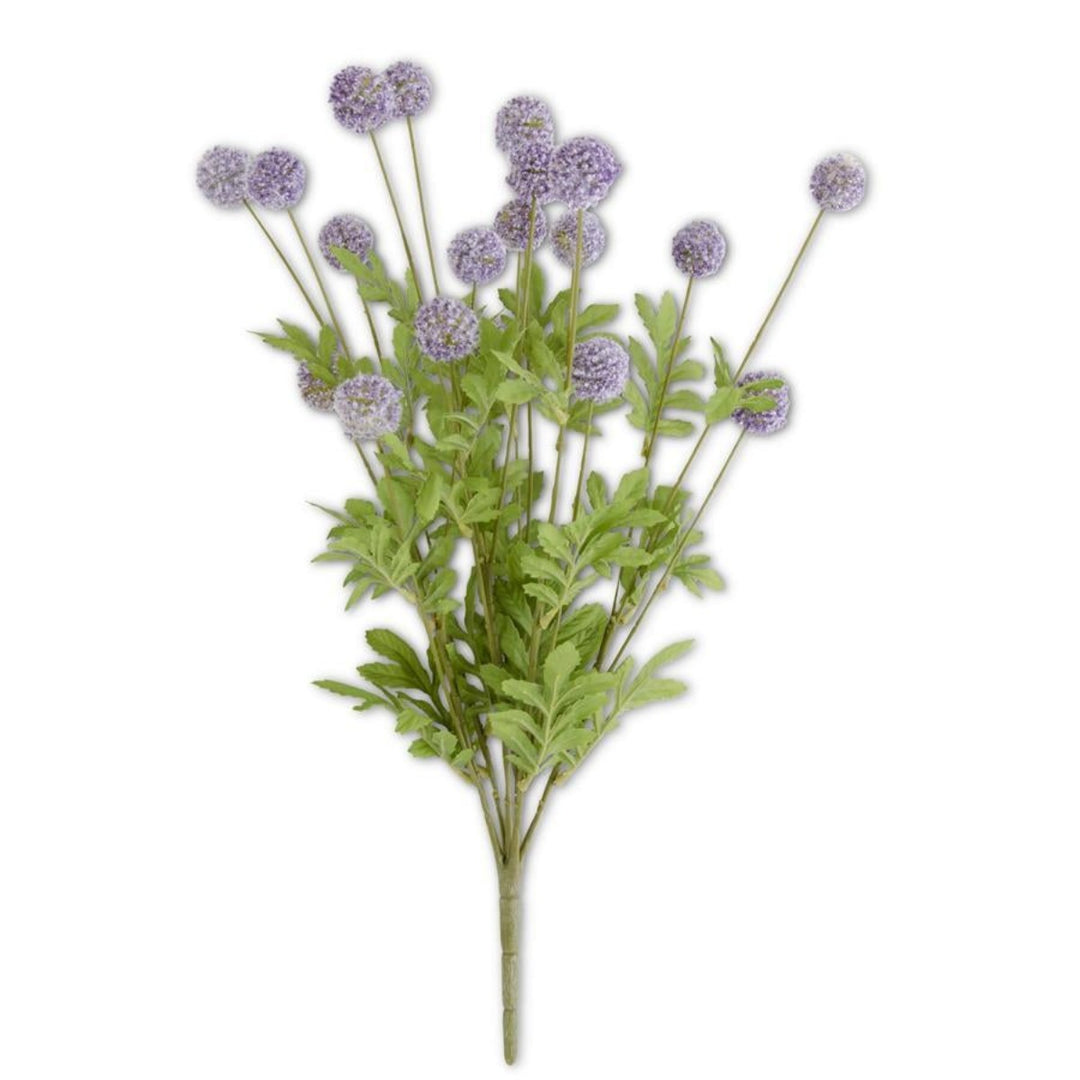 Purple Mini Allium Bush With Foliage