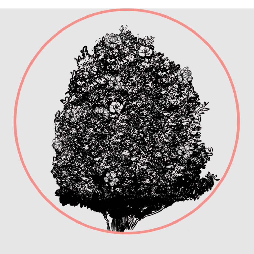 Palmetto Solid Fragrance