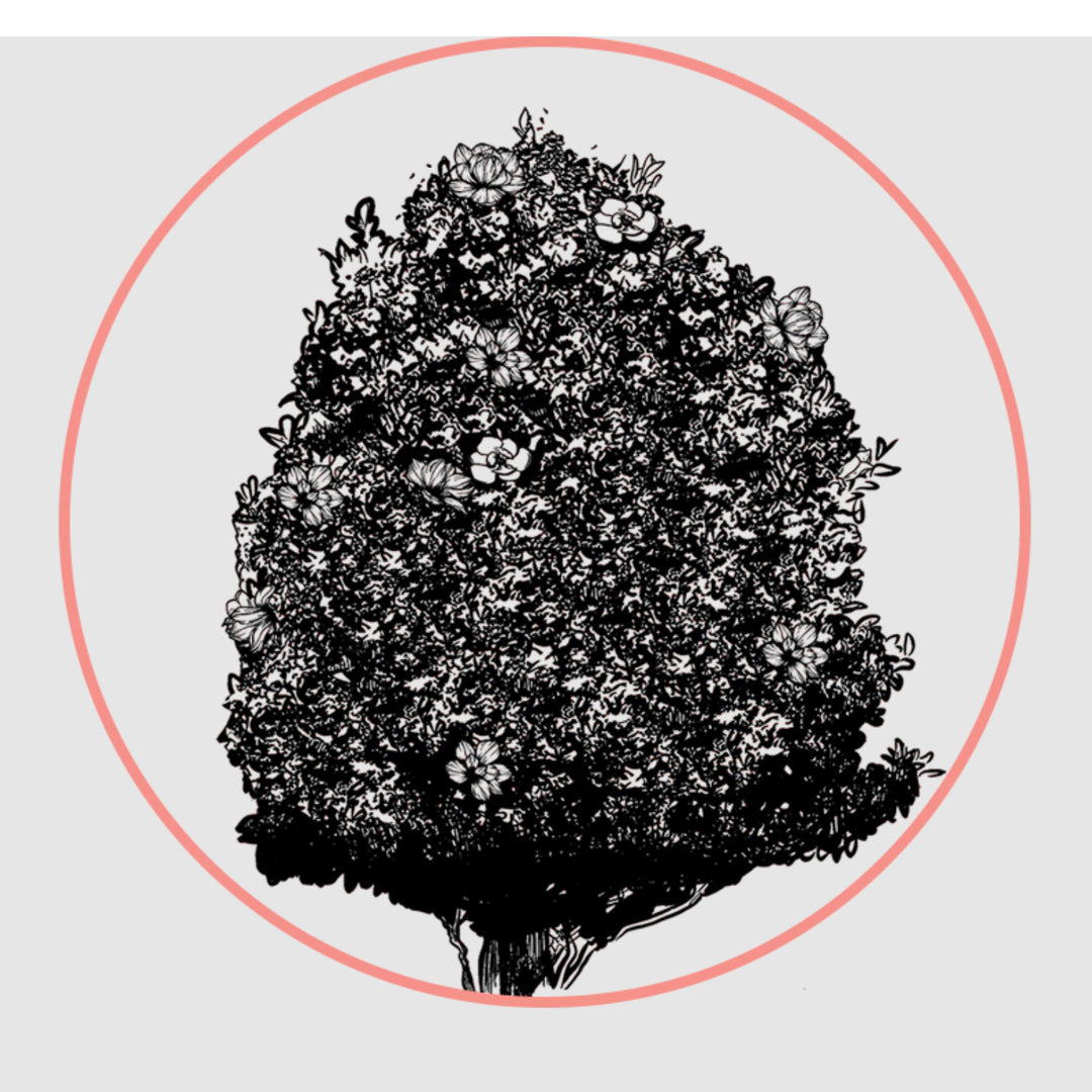 Palmetto Solid Fragrance