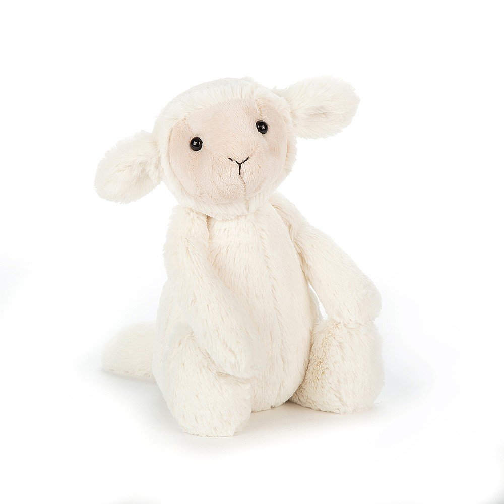 Bashful Lamb