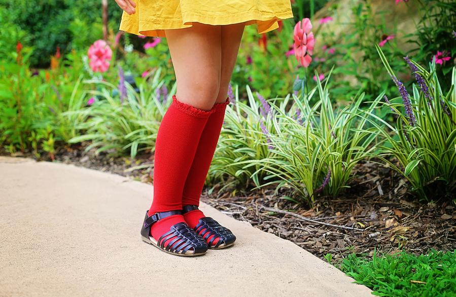 True Red Lace Top Knee Highs