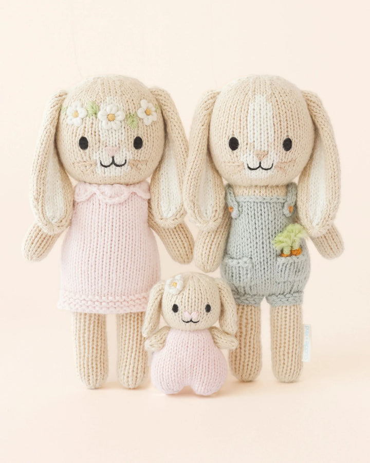 Tiny Hannah the bunny (blush)