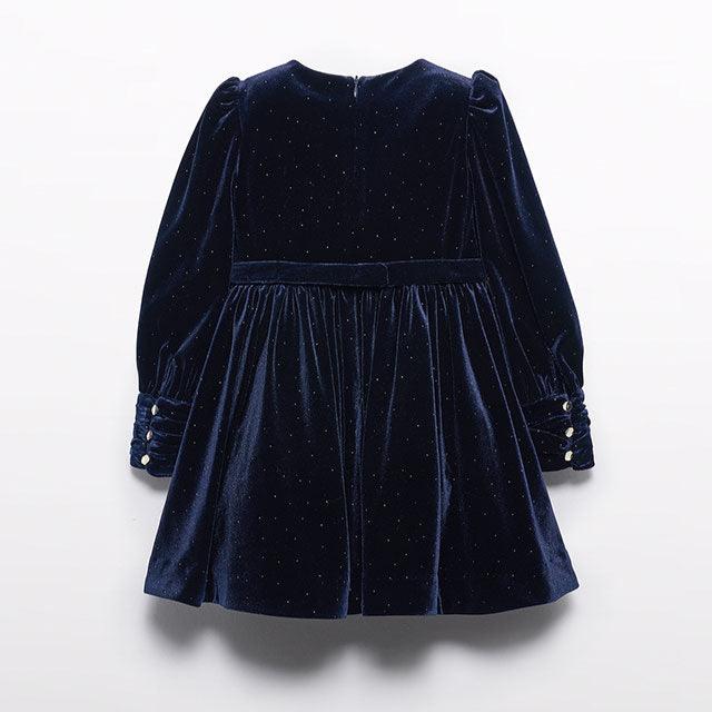 Navy Glitter Velvet Dress