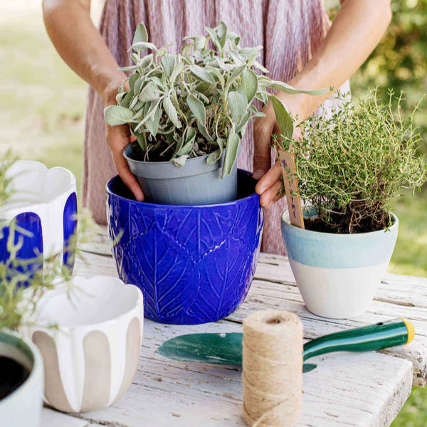 Viva Garden Cobalt Embossed Leaves Cachepot