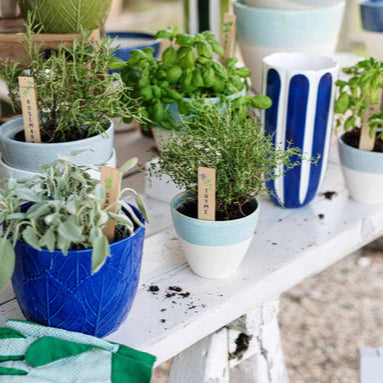 Viva Garden Aqua Reactive Small Cachepot