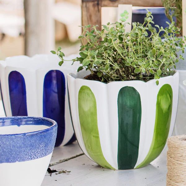 Viva Garden Green Tulip Large Cachepot
