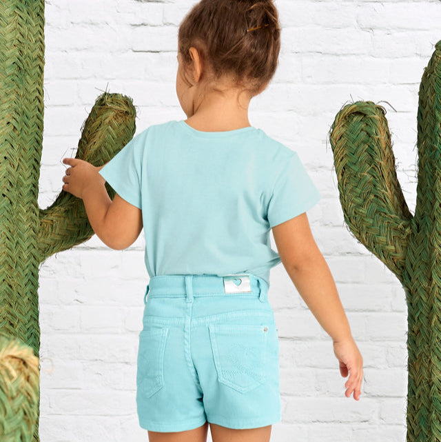 Anise Basic Twill Shorts