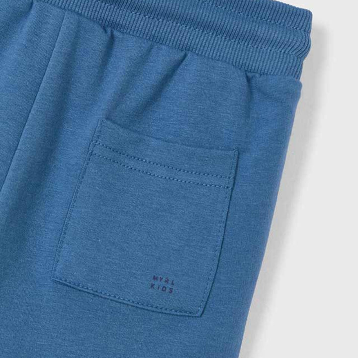 Regatta Basic Fleece Shorts