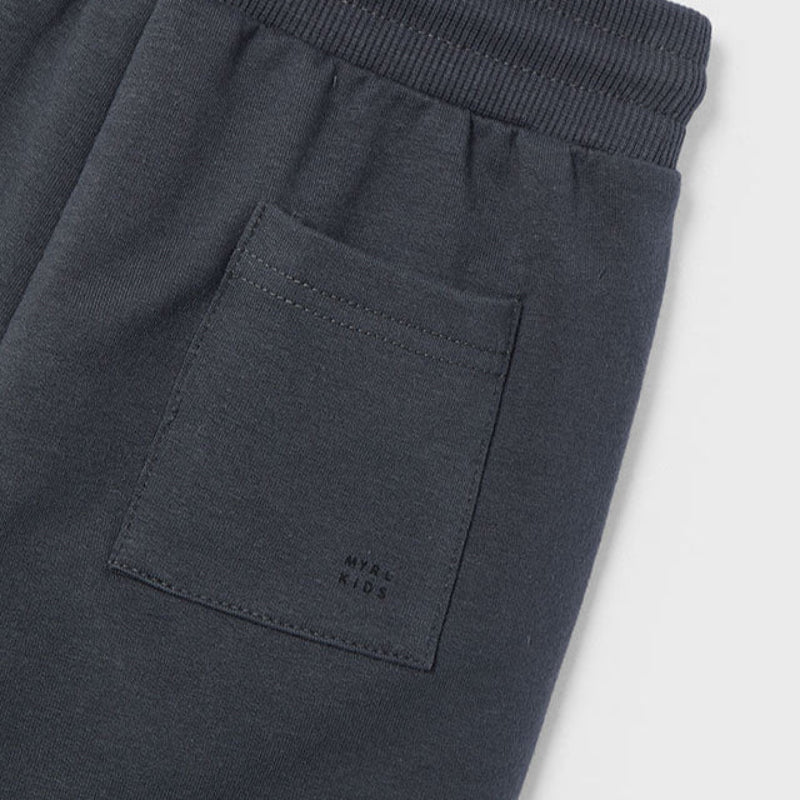 Asphalt Basic Fleece Shorts
