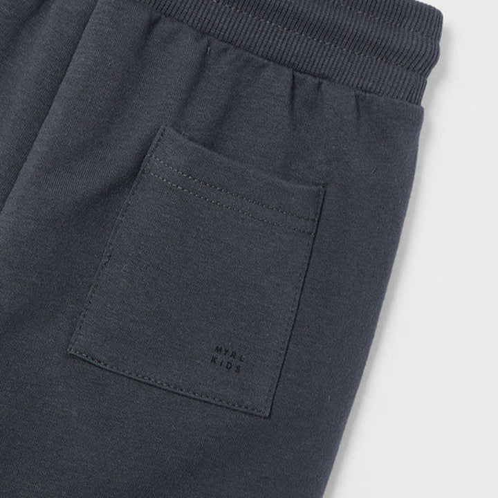 Asphalt Basic Fleece Shorts