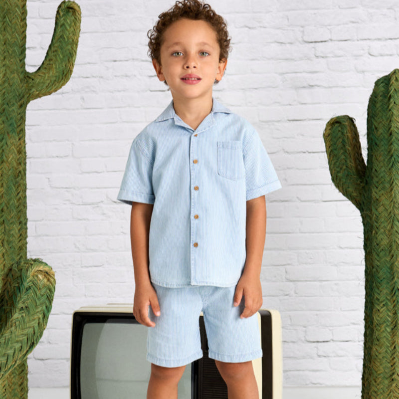 Blue Stripe Casual Shorts