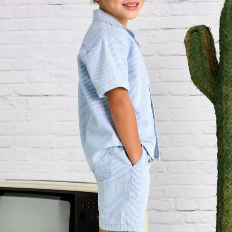 Blue Stripe Casual Shorts