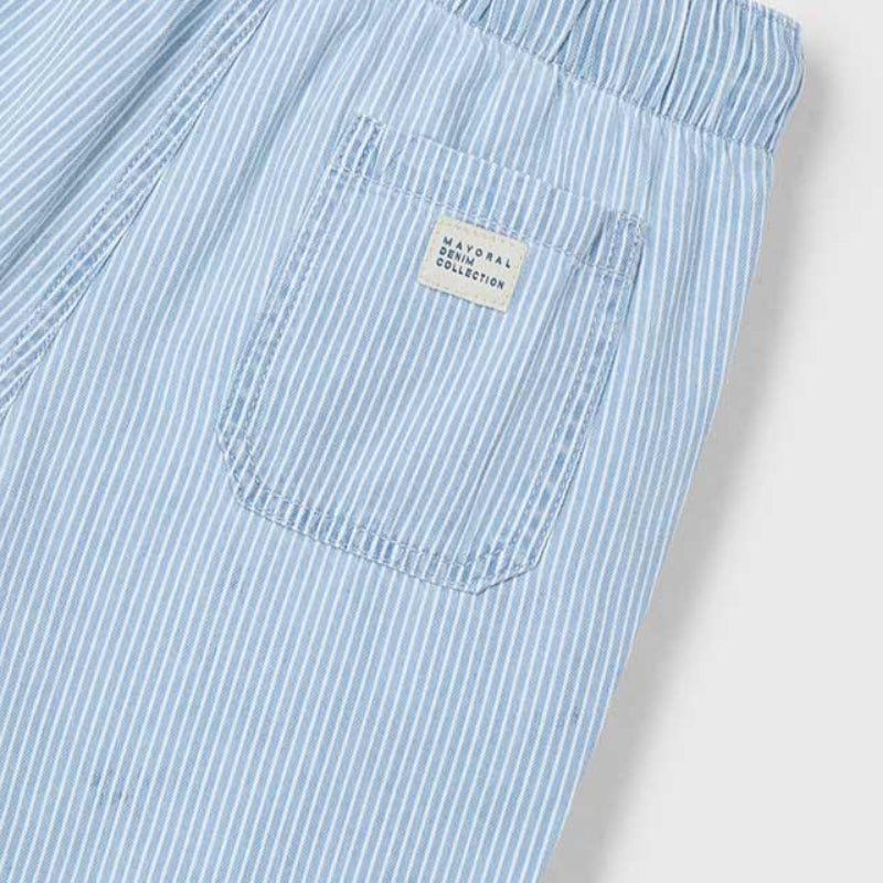 Blue Stripe Casual Shorts