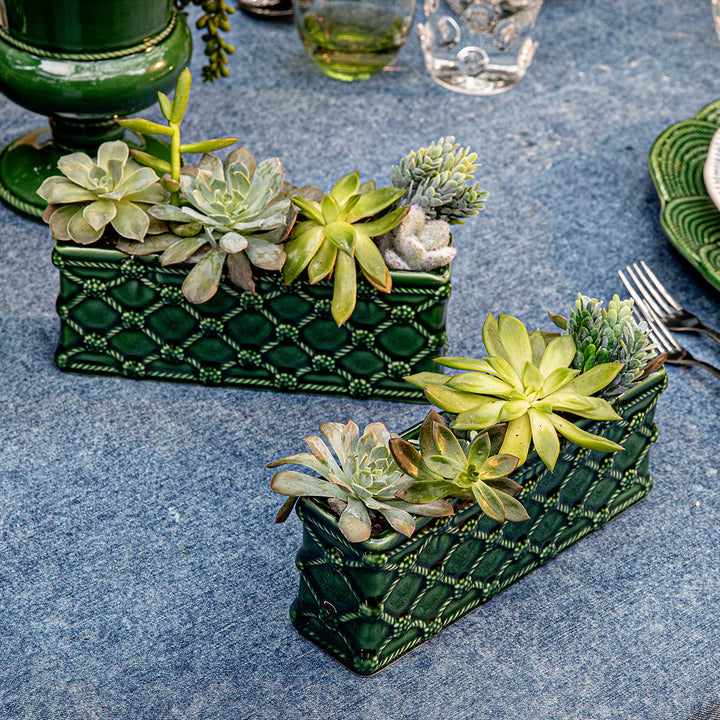 Berry & Thread Petite Parterre Garden 8" Planter Set/2 - Basil
