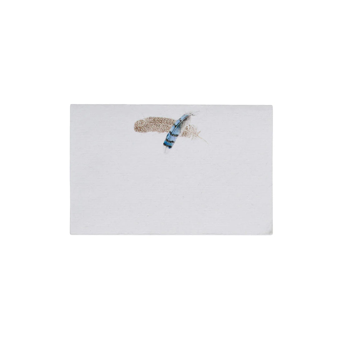 Forest Walk Place Card Assorted Set/12 - Multi