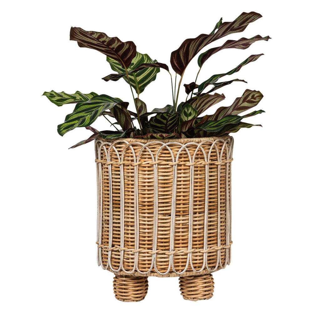 Provence Rattan Round Planter - Whitewash