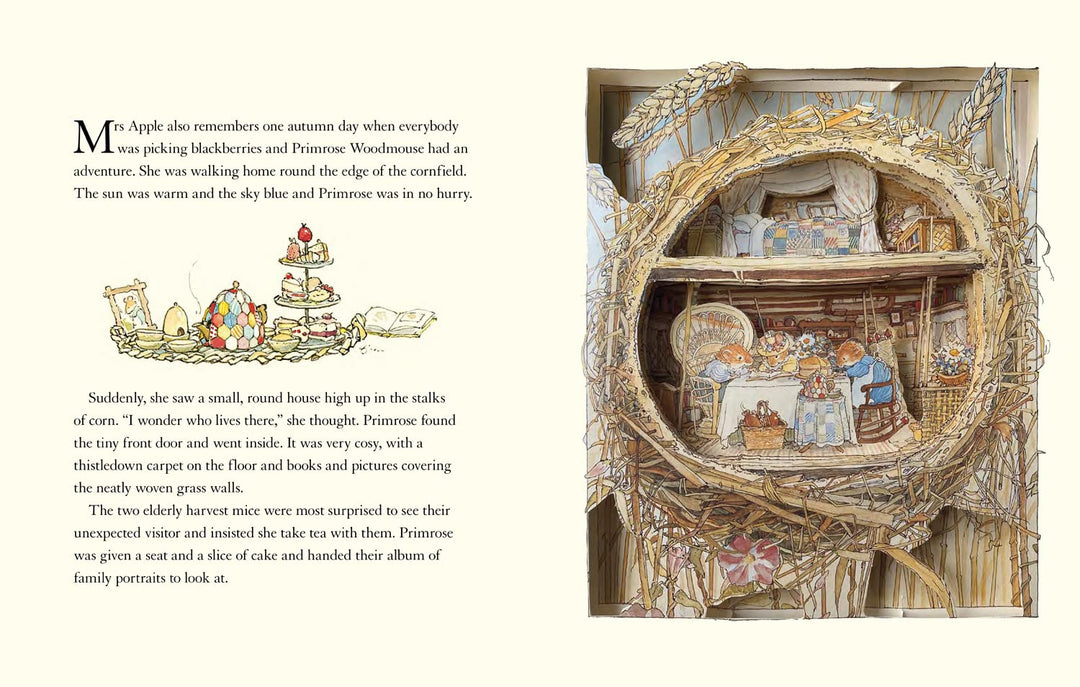 The Brambly Hedge Pop-Up Book