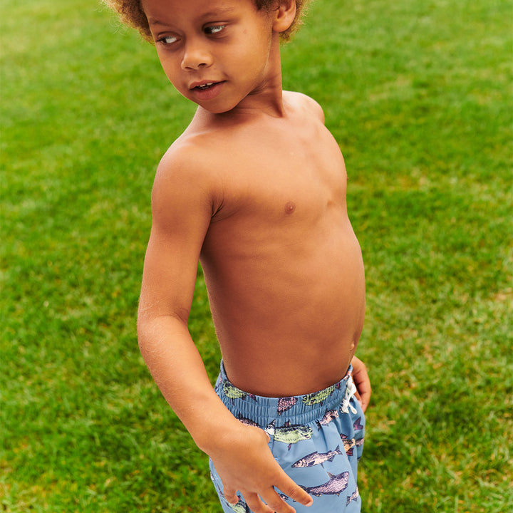 Boys Swim Trunk - Bluestone Multi Fishies