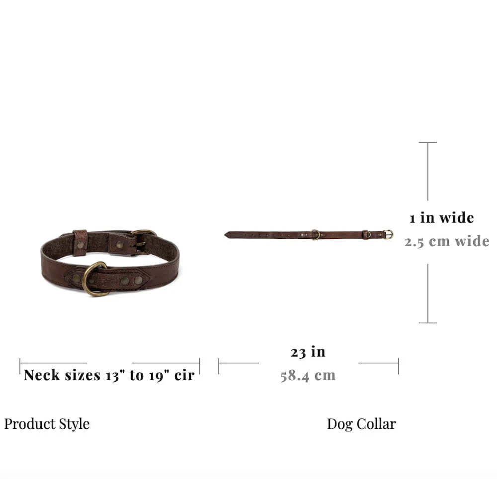 Campaign Leather Dog Collar