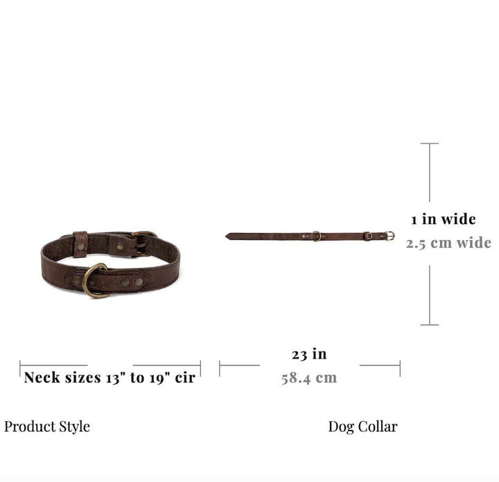 Campaign Leather Dog Collar