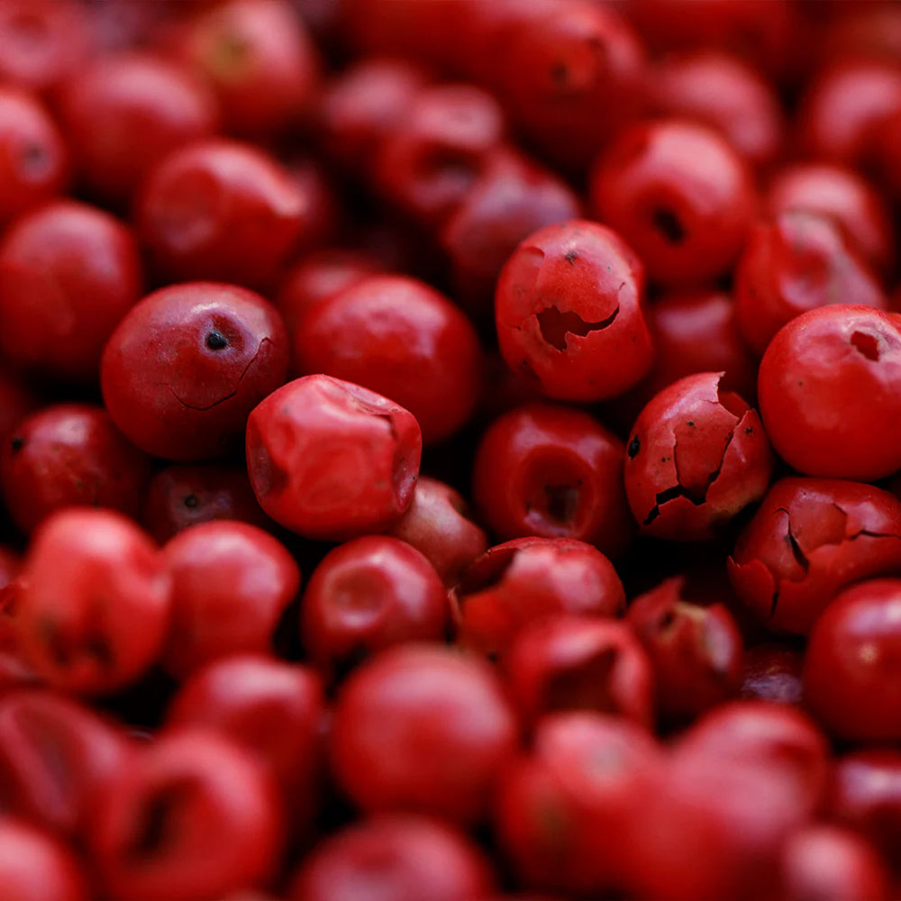 Archipelago Botanicals - Currant Boxed Candle