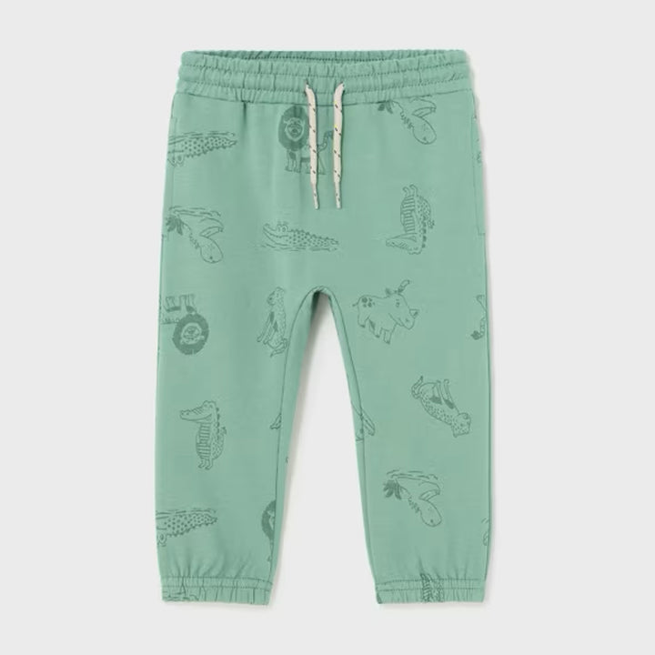 Eucalyptus Printed Knit Pants