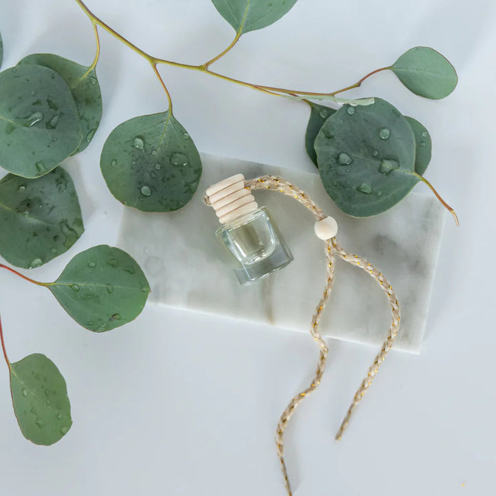 Eucalyptus Rain - Car Diffuser
