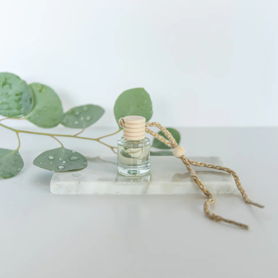 Eucalyptus Rain - Car Diffuser