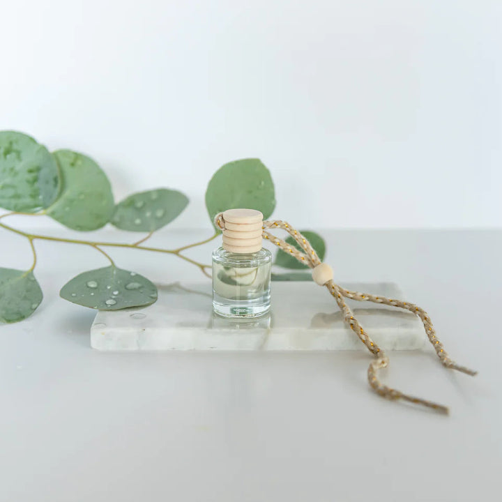 Eucalyptus Rain - Car Diffuser