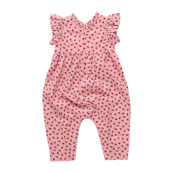 Baby Girls Jennifer Jumper - Pink Tiny Roses