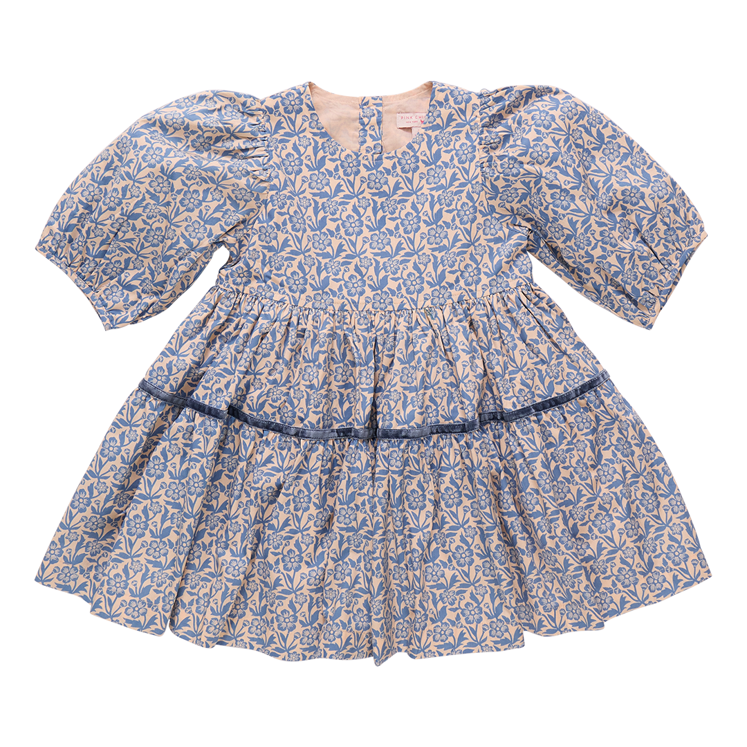 Girls Maribelle Dress - Blue Climbing Floral