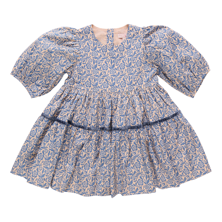 Girls Maribelle Dress - Blue Climbing Floral