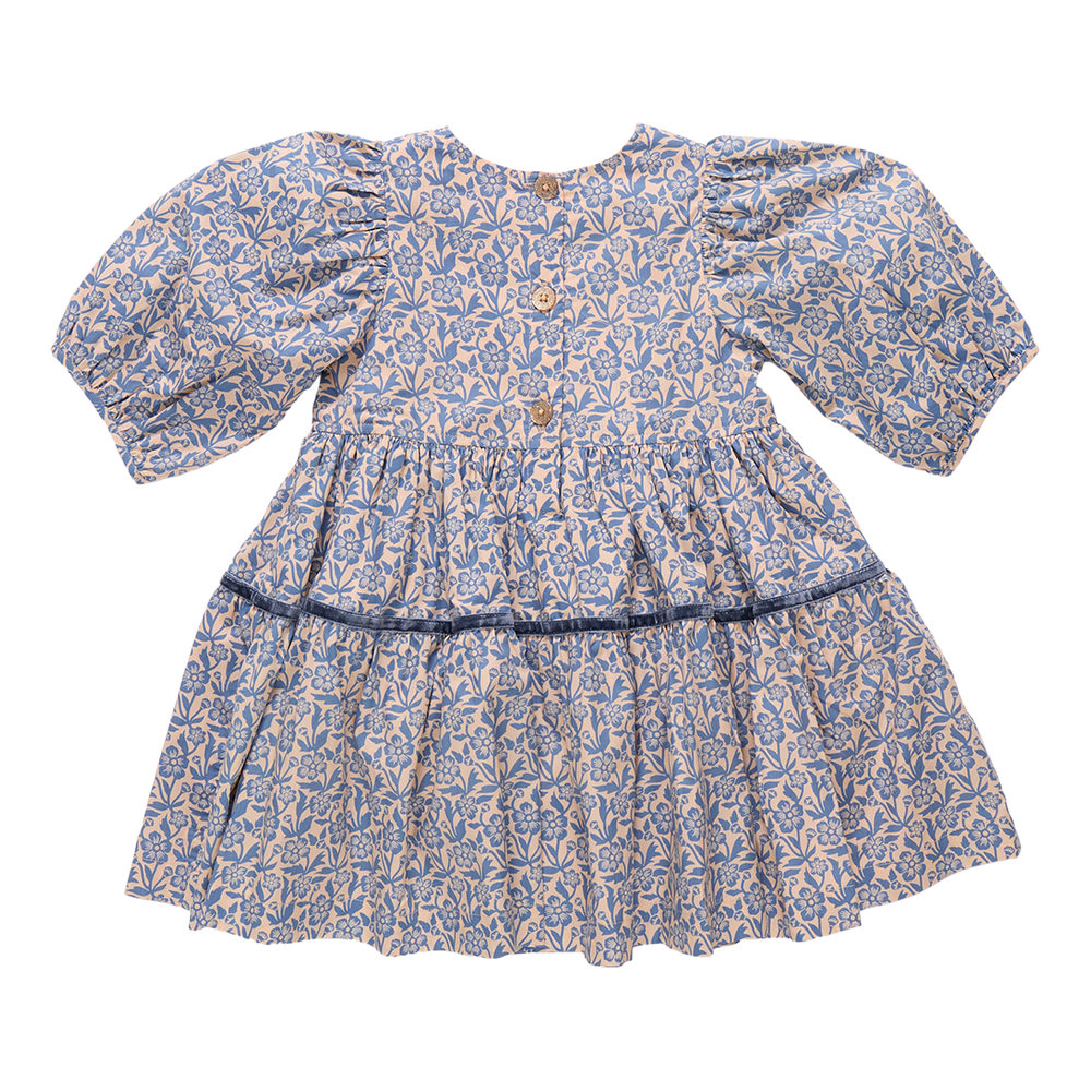 Girls Maribelle Dress - Blue Climbing Floral
