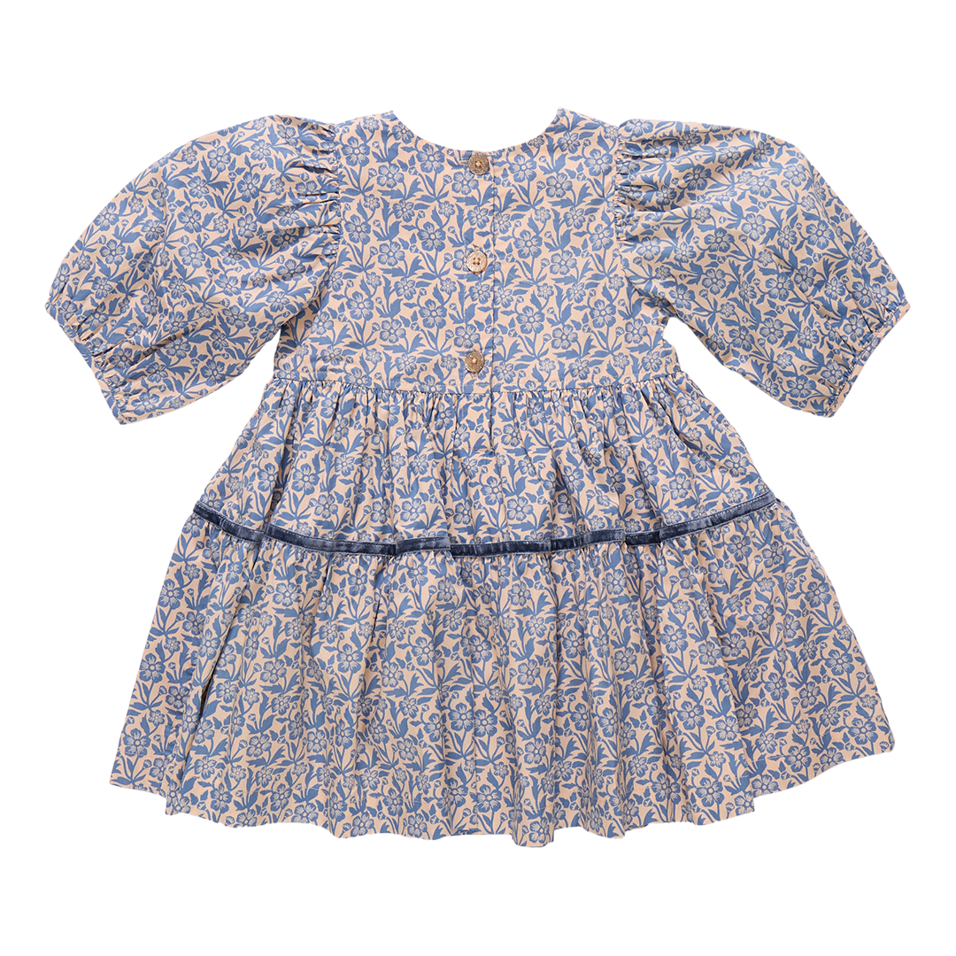 Girls Maribelle Dress - Blue Climbing Floral
