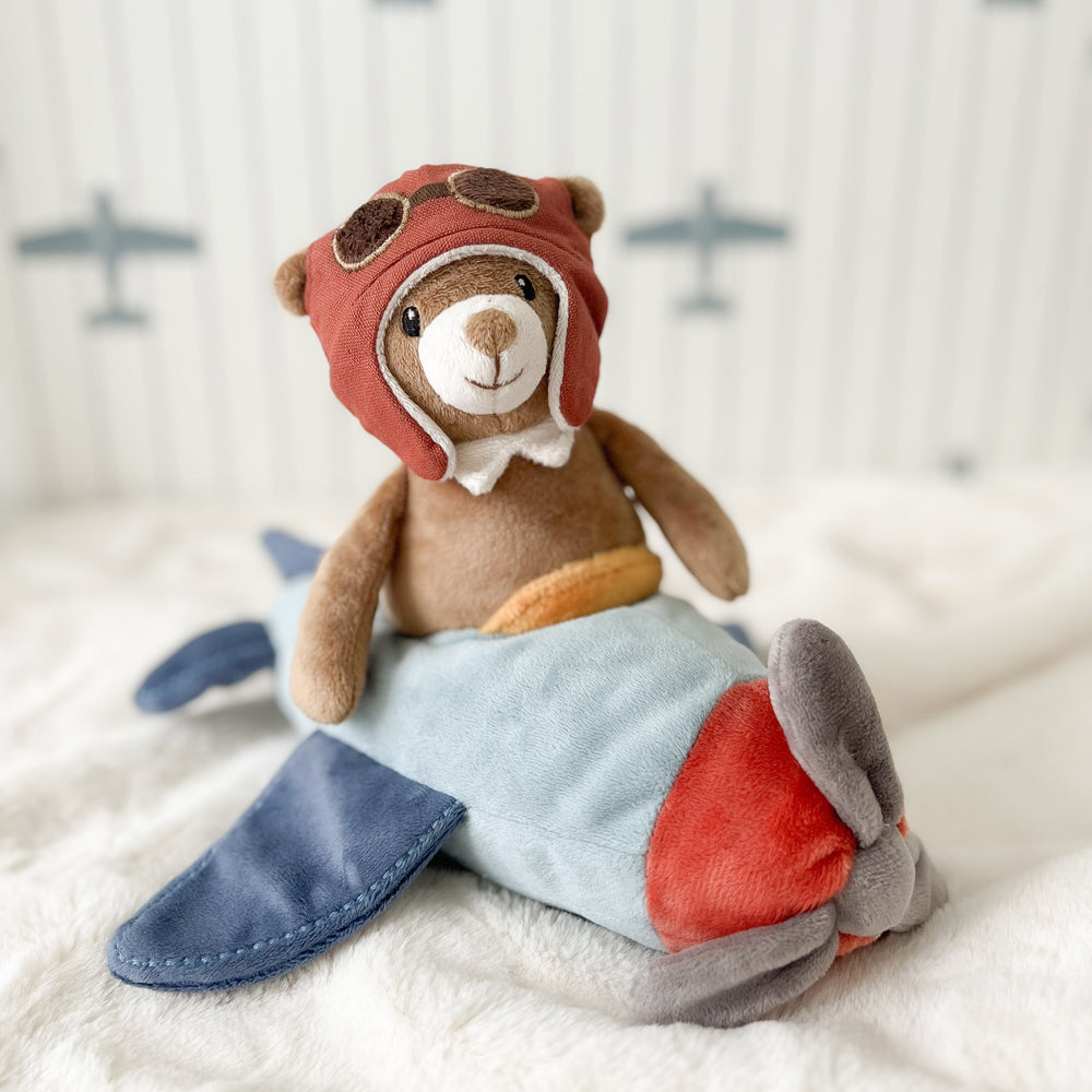 Pilot Bear & Plane