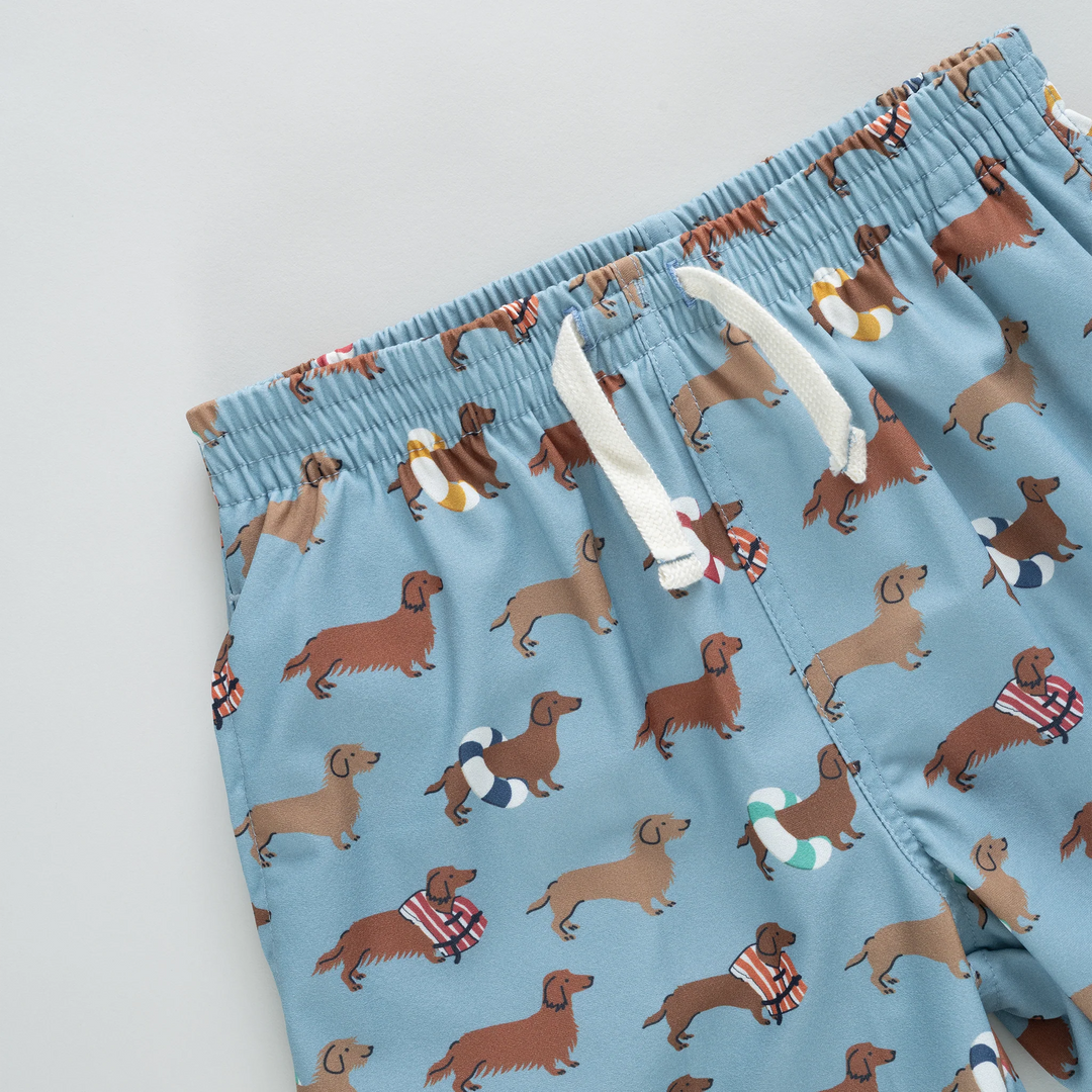 Baby Boys Swim Trunk - Swim Dachshunds