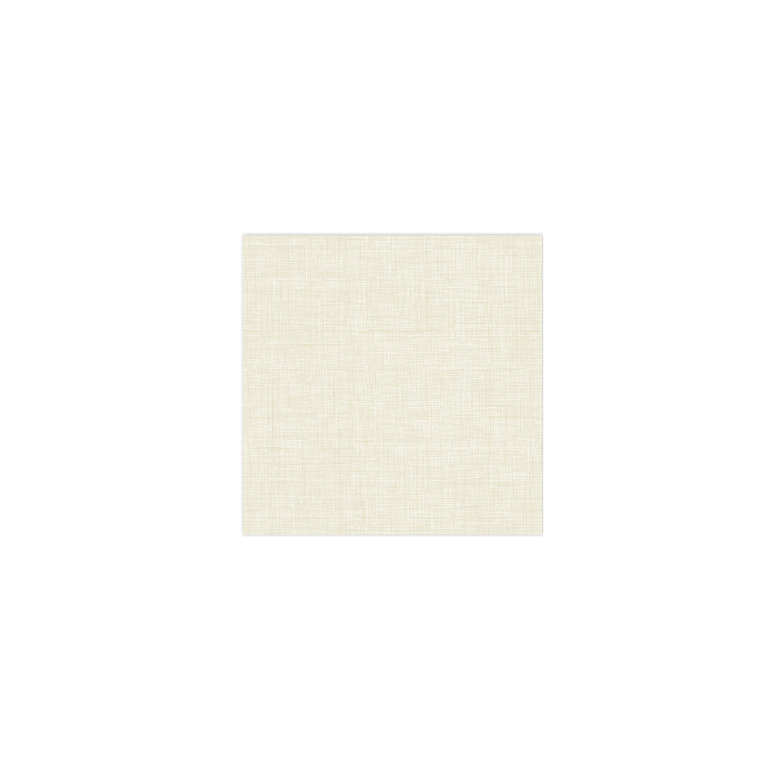 Papersoft Napkins Easy Taupe Cocktail Napkins (Pack of 20)