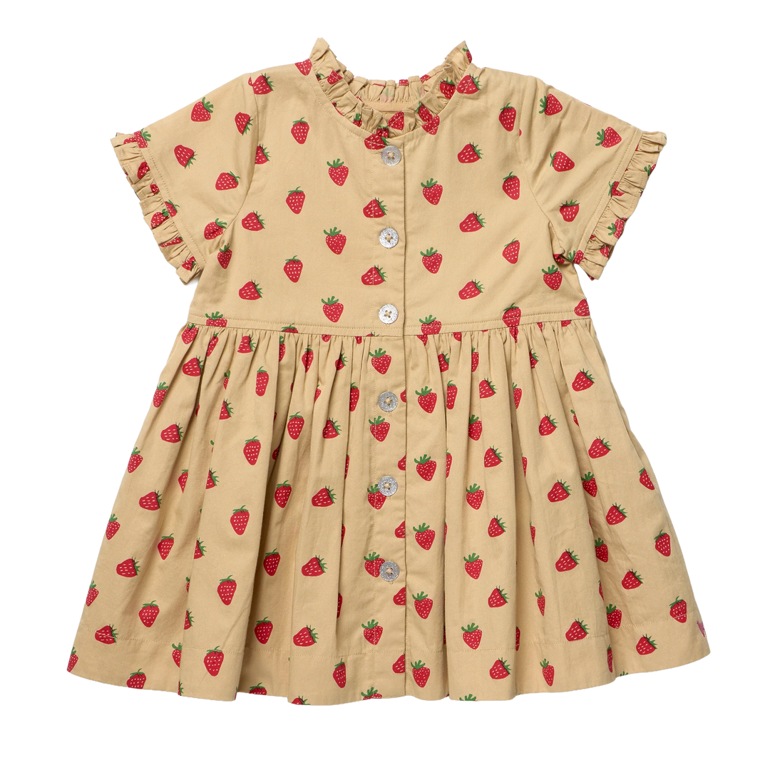 Girls Autumn Dress - Tossed Strawberries