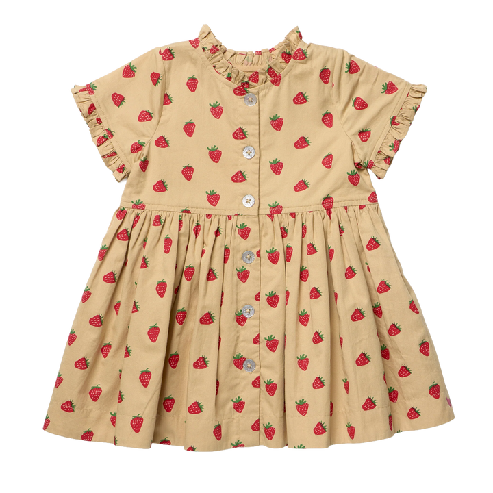 Girls Autumn Dress - Tossed Strawberries