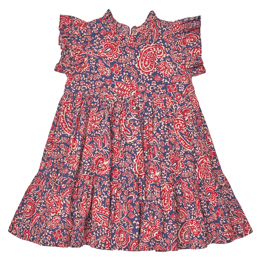 Girls Jennifer Dress - Paisley Vines