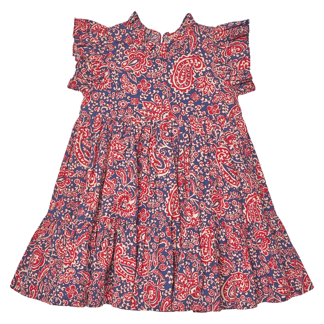 Girls Jennifer Dress - Paisley Vines