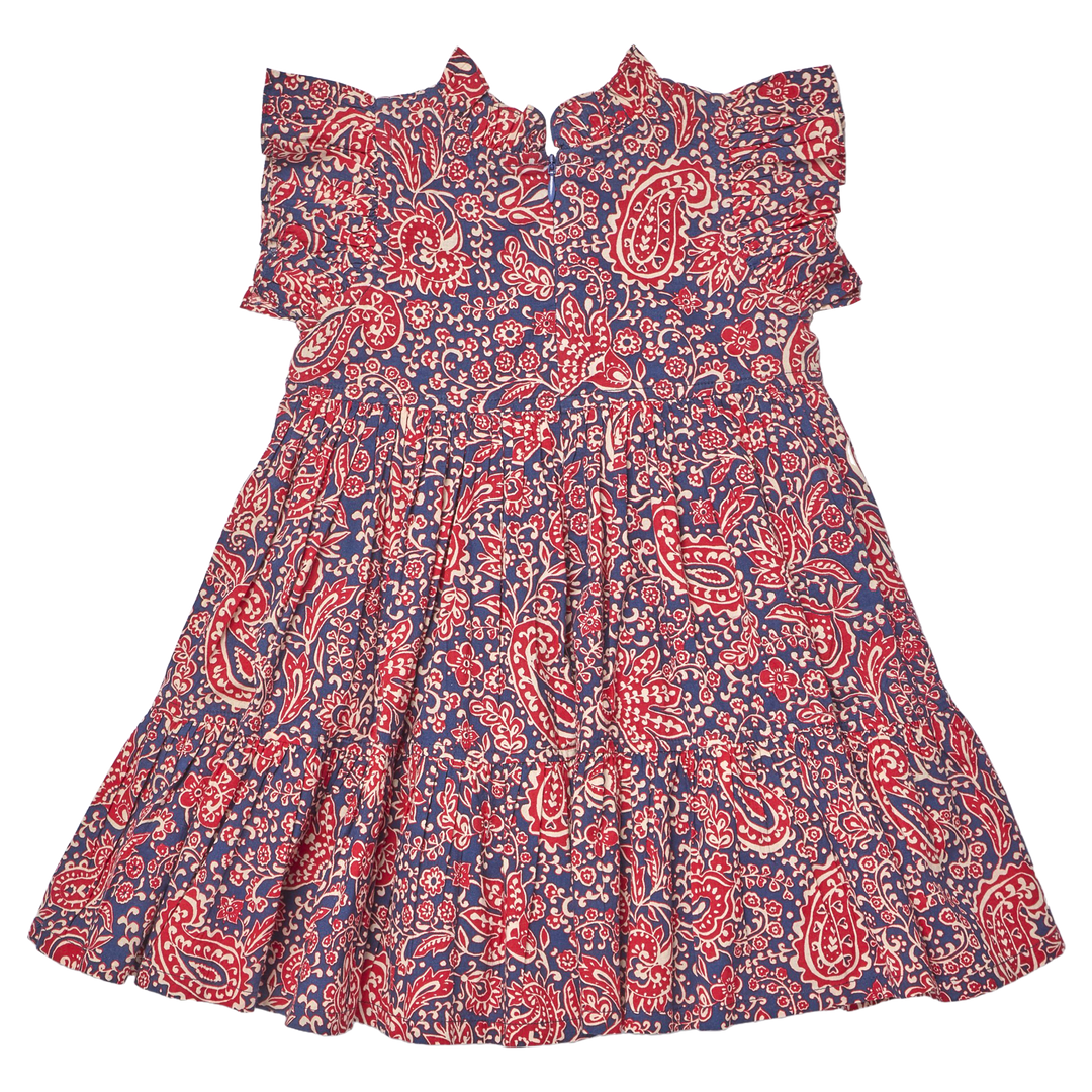 Girls Jennifer Dress - Paisley Vines