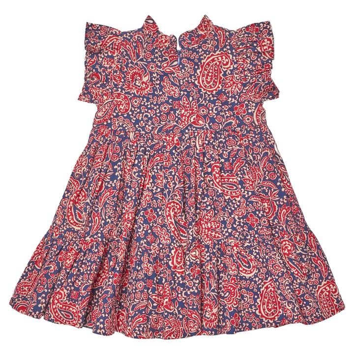 Girls Jennifer Dress - Paisley Vines