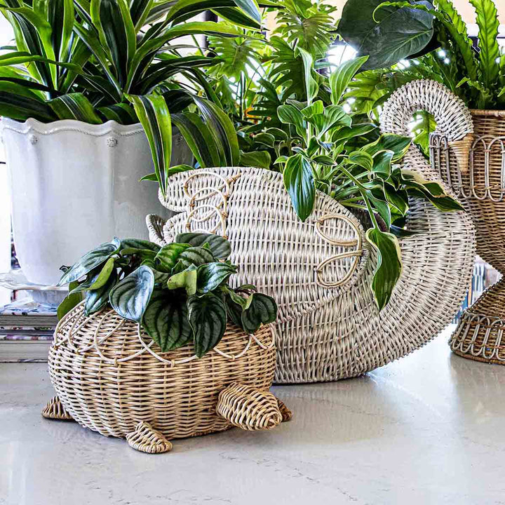 Provence Rattan Swan Basket - Whitewash